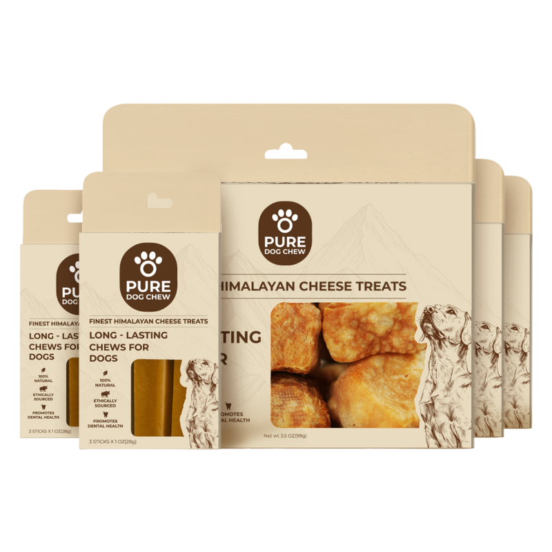 Gentle Chewers Refill Bundle