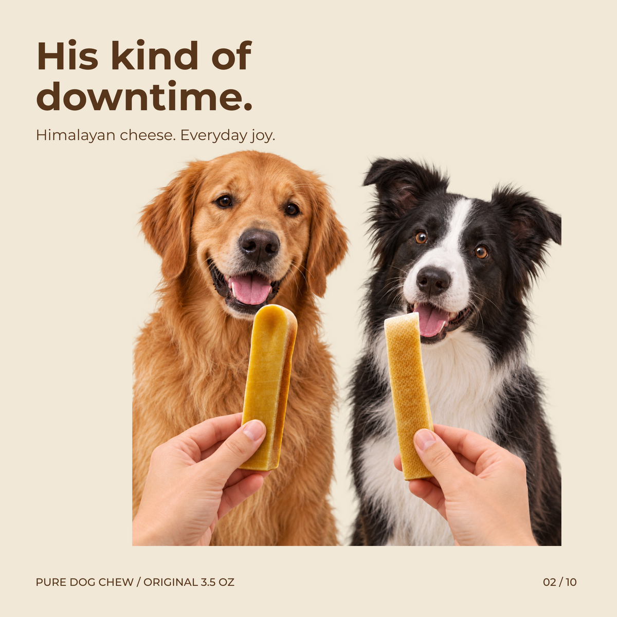 Original Himalayan Yak Cheese Dog Chews, 3.5 oz × 2 Sticks