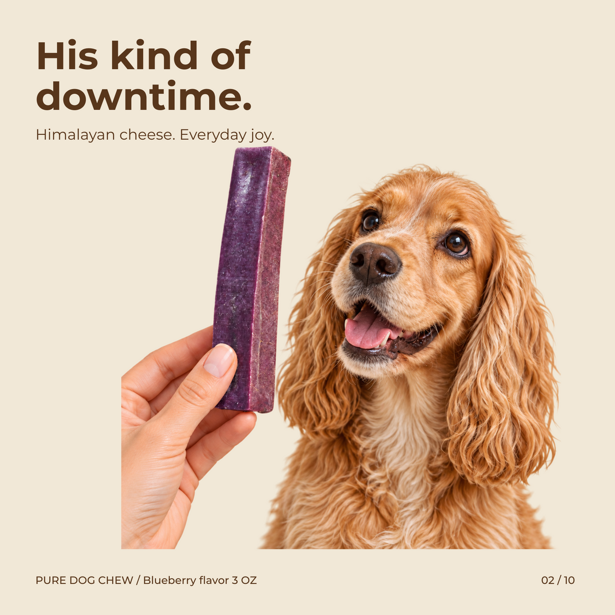 Blueberry Himalayan Yak Cheese Dog Chew – 3 oz