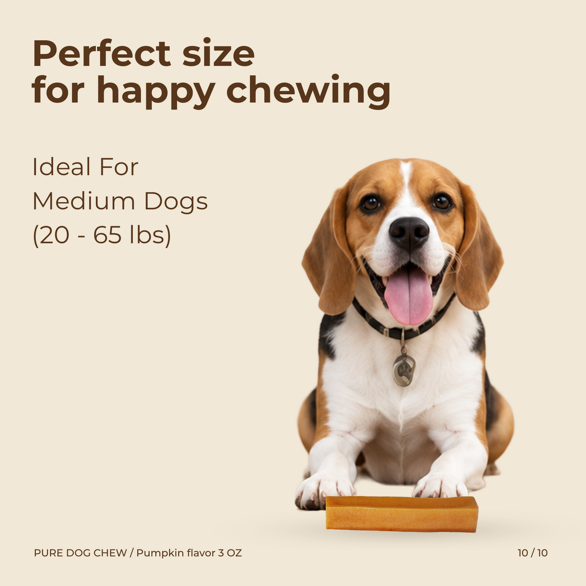 Pumpkin Himalayan Yak Cheese Dog Chew – 3 oz