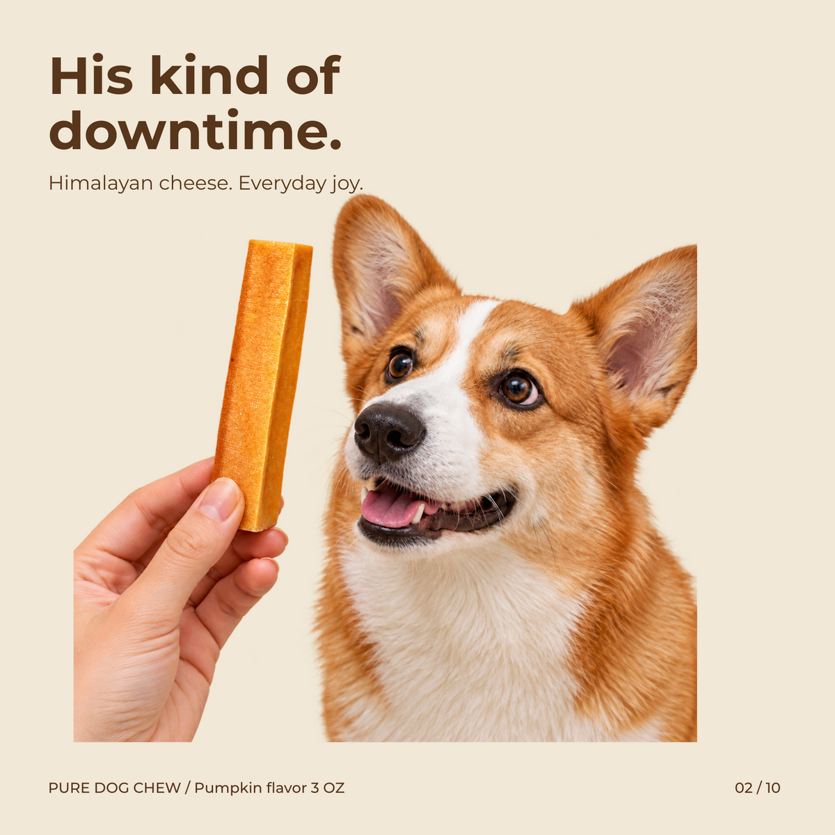 Pumpkin Himalayan Yak Cheese Dog Chew – 3 oz
