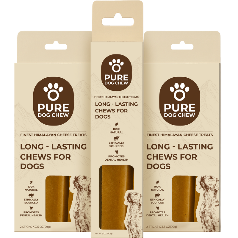 Multi-Dog Household Bundle