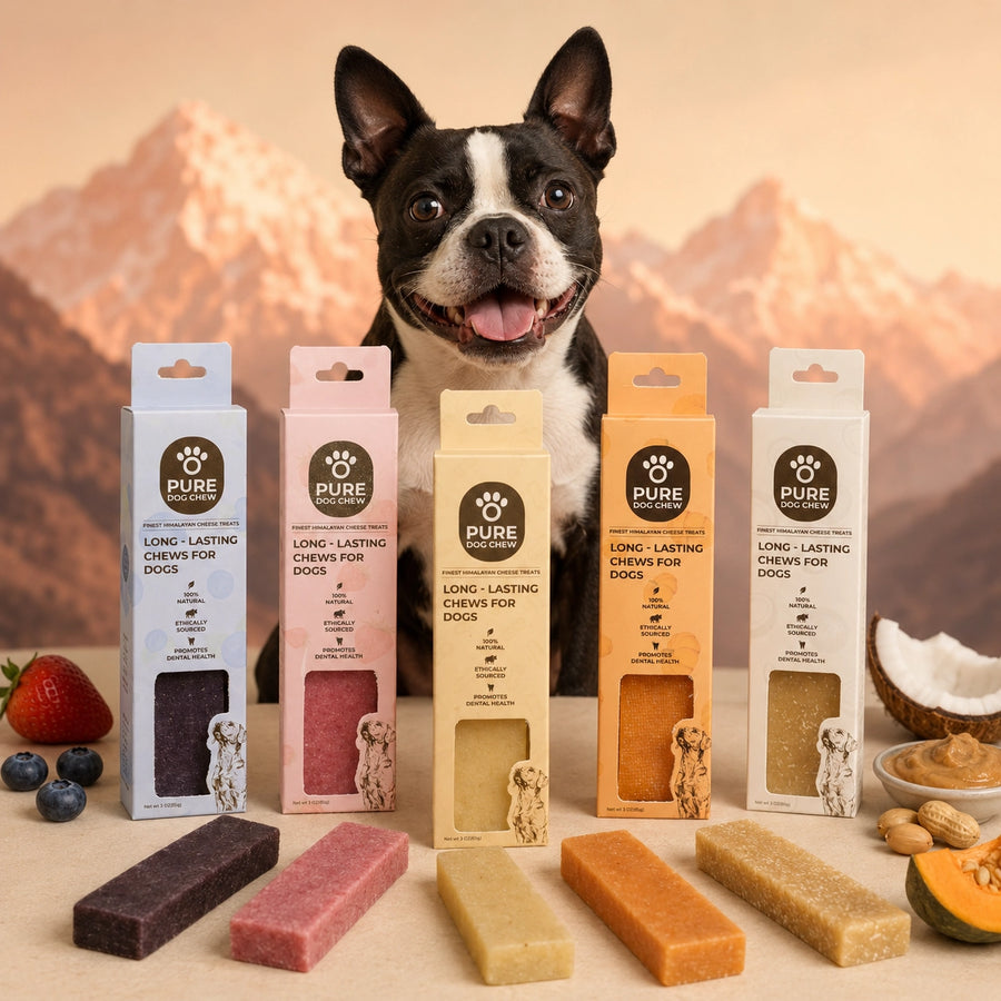 Flavored Chews