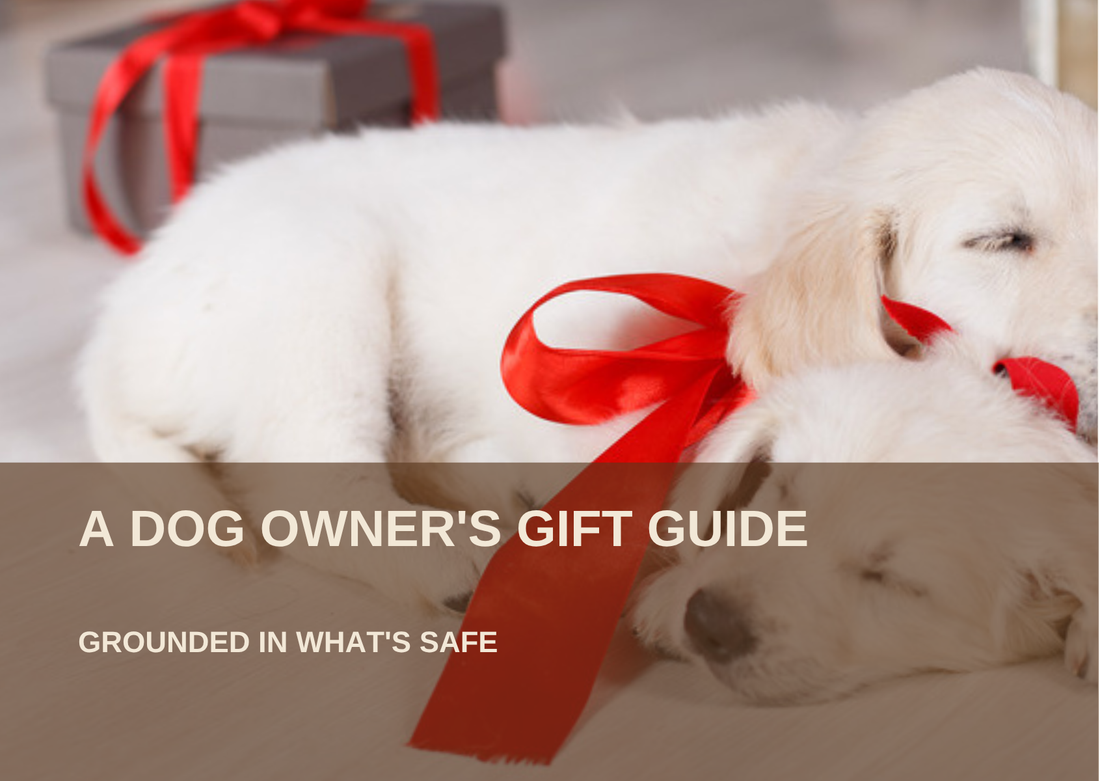 Two puppies with a wrapped holiday gift and red ribbon