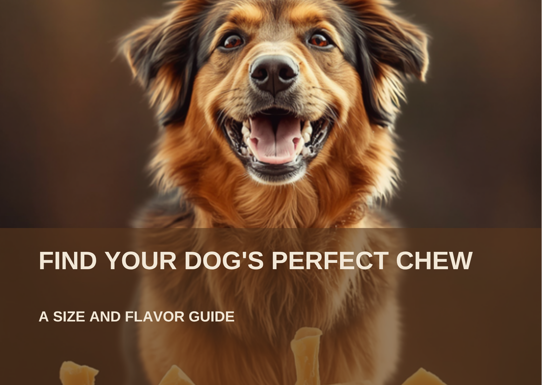 Find Your Dog's Perfect Chew: A Size and Flavor Guide