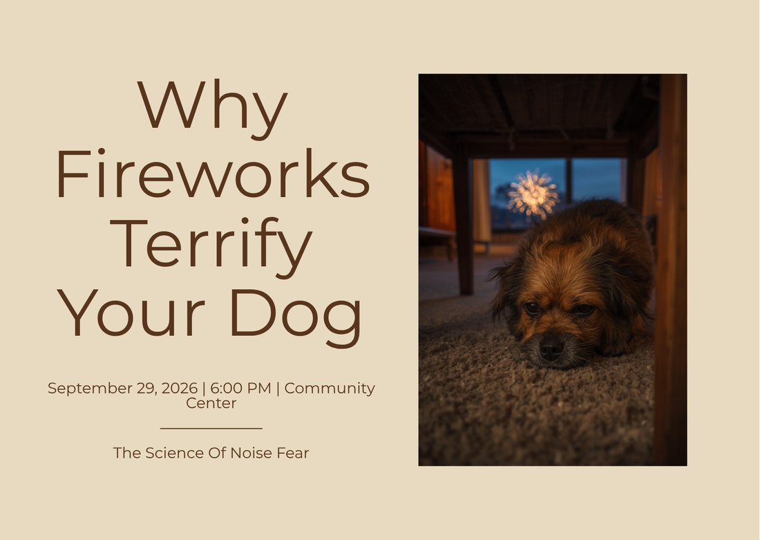 Why Fireworks Terrify Your Dog