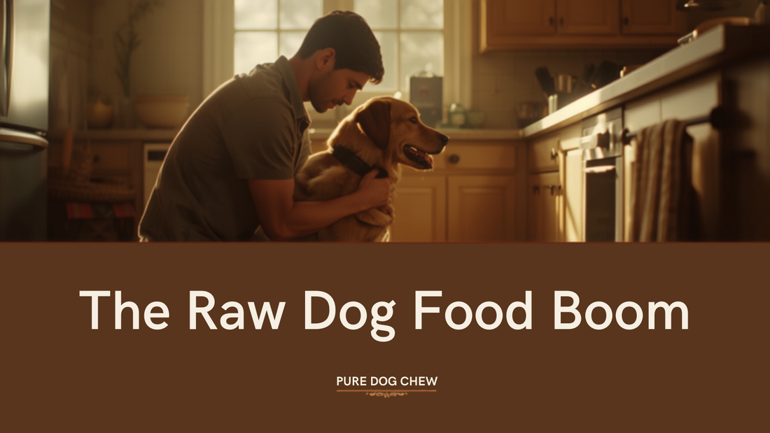 A dog owner kneeling with their golden retriever in a warm home kitchen, illustrating the Pure Dog Chew blog post The Raw Dog Food Boom