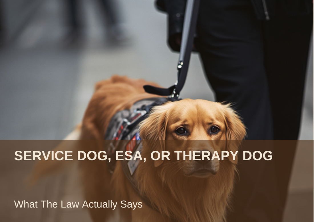 SERVICE DOG, ESA, OR THERAPY DOG - What The Law Actually Says