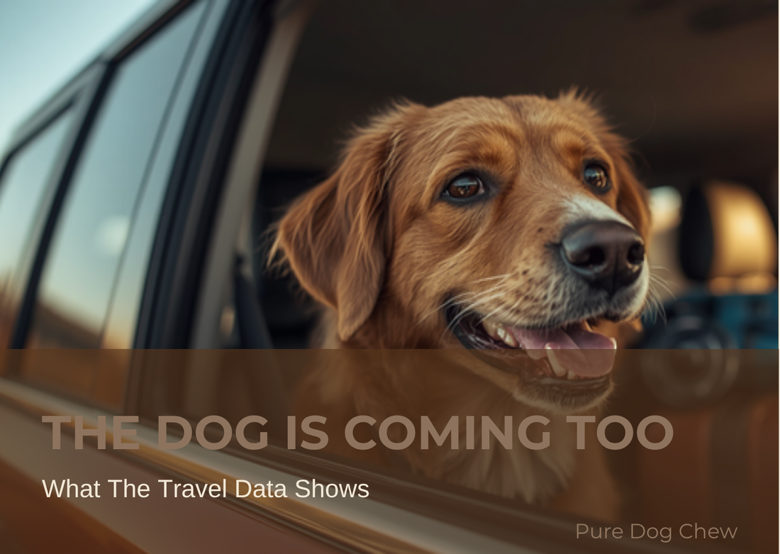 The Dog Is Coming Too: What The Travel Data Shows