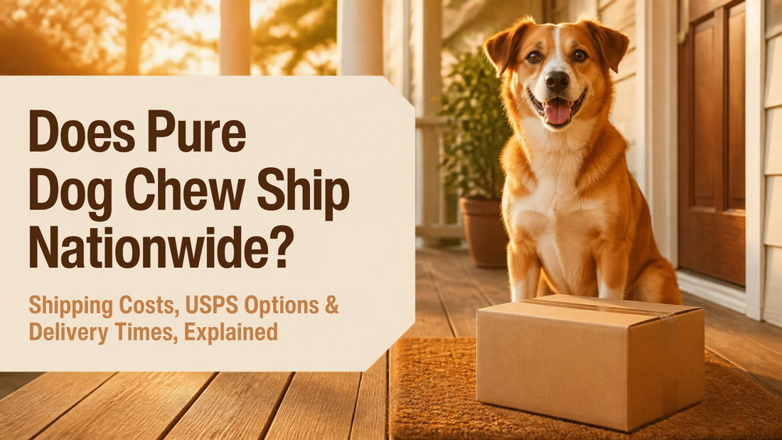 A happy dog sitting on a porch beside a cardboard shipping box at golden hour, with text: Does Pure Dog Chew Ship Nationwide? Shipping Costs, USPS Options and Delivery Times, Explained