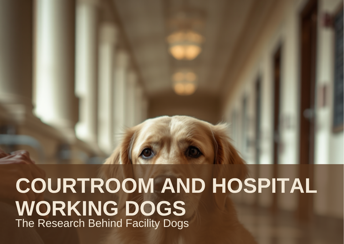 COURTROOM AND HOSPITAL WORKING DOGS