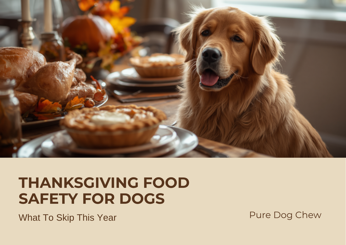 Thanksgiving food safety for dogs: what to skip this year