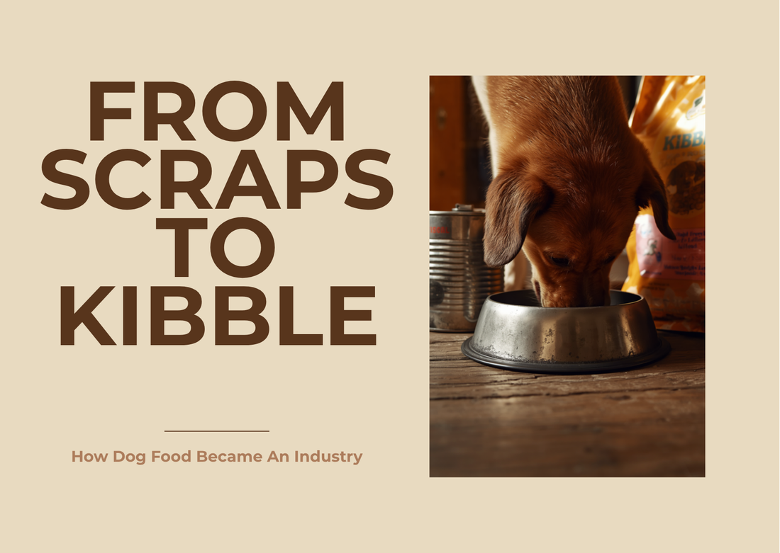 From Scraps to Kibble: How Dog Food Became an Industry