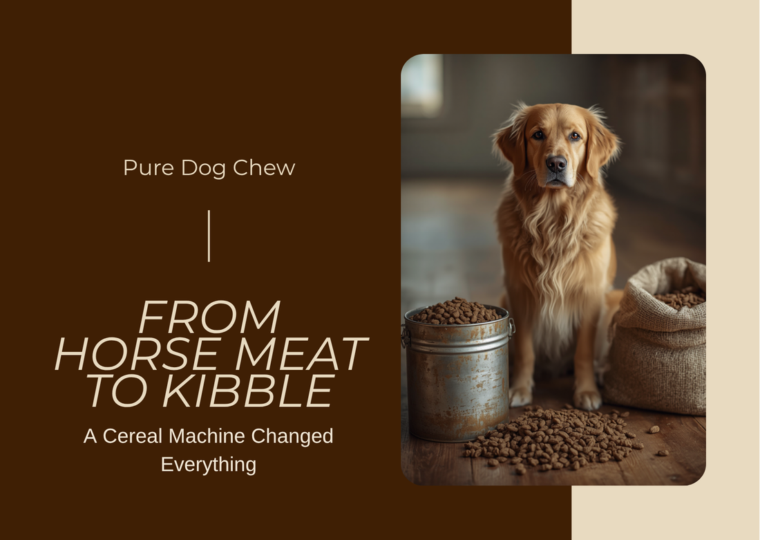 FROM HORSE MEAT TO KIBBLE: A Cereal Machine Changed Everything, a golden retriever beside a vintage dog food tin and burlap sack of kibble