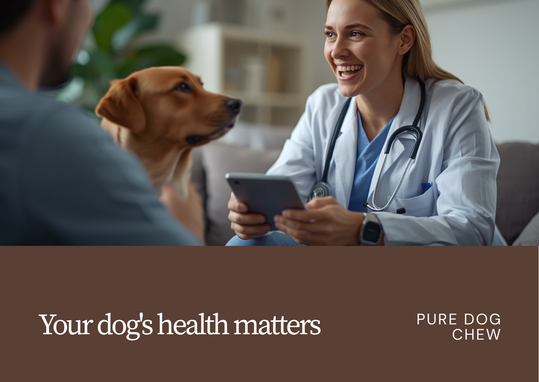 A veterinarian in a white coat talking with a dog owner and their dog during a video call telehealth consultation