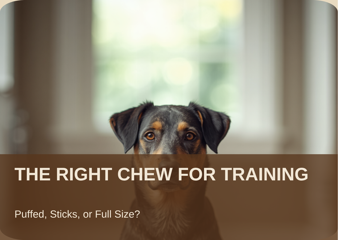 THE RIGHT CHEW FOR TRAINING