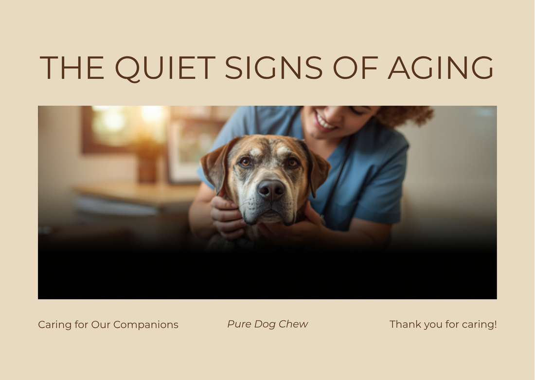 The Quiet Signs of Aging - What Changes After Seven
