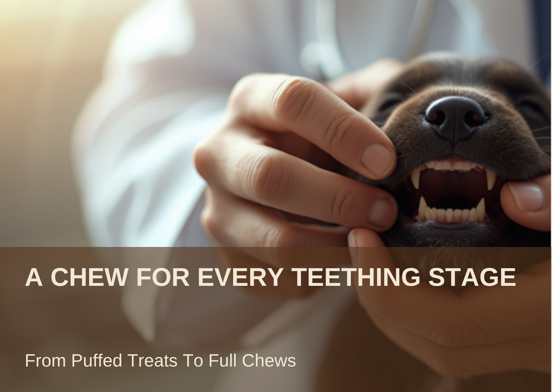 A CHEW FOR EVERY TEETHING STAGE - From Puffed Treats To Full Chews