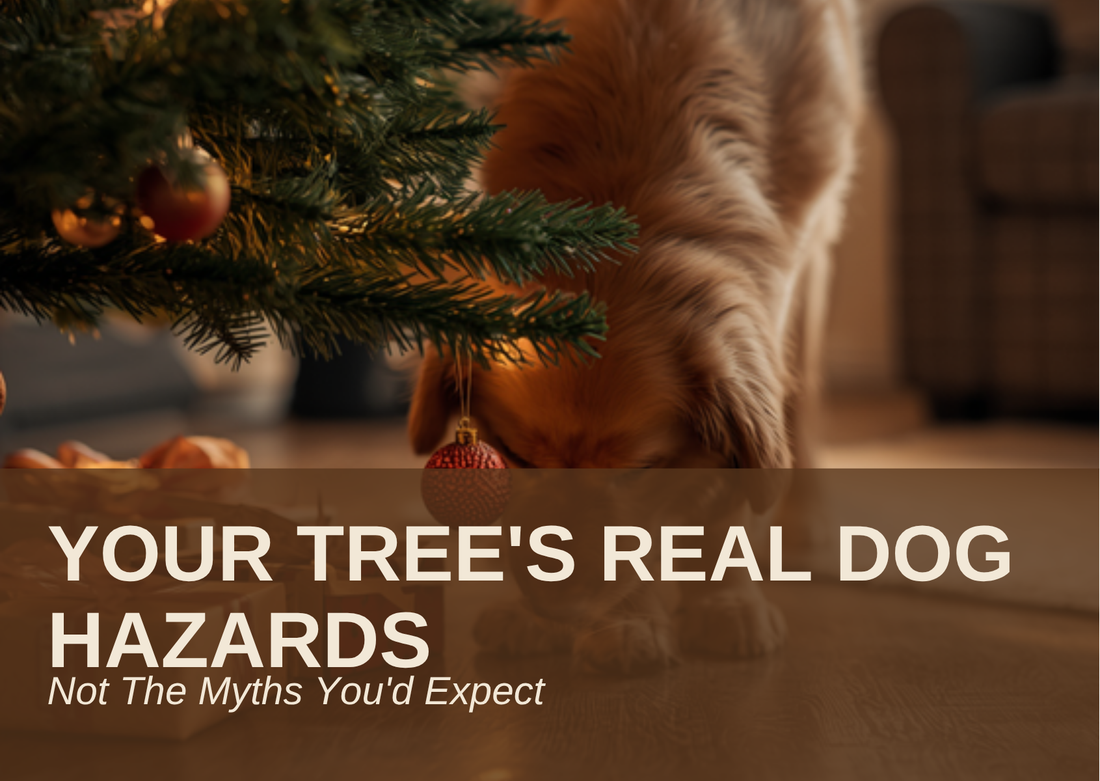 YOUR TREE'S REAL DOG HAZARDS