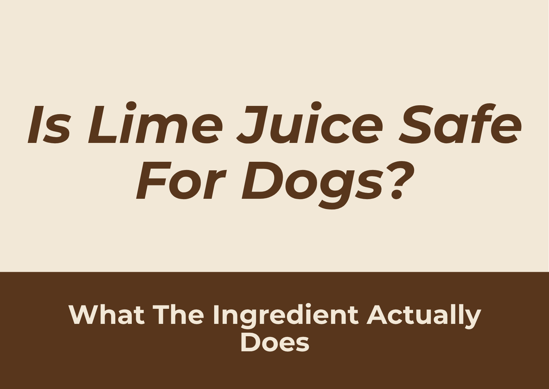 Graphic reading Is Lime Juice Safe For Dogs, What The Ingredient Actually Does, on a cream and brown Pure Dog Chew background