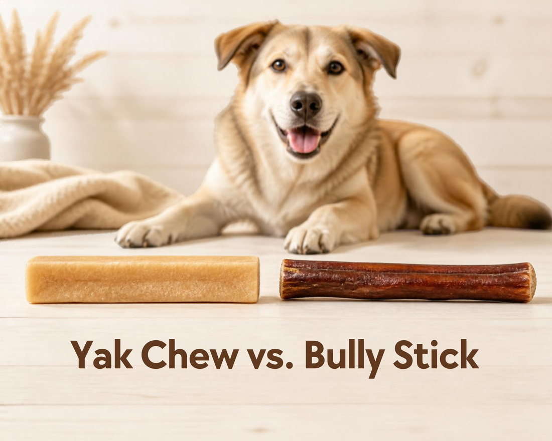 A Himalayan yak cheese dog chew stick and a bully stick side by side on a light wood surface with a dog softly in the background