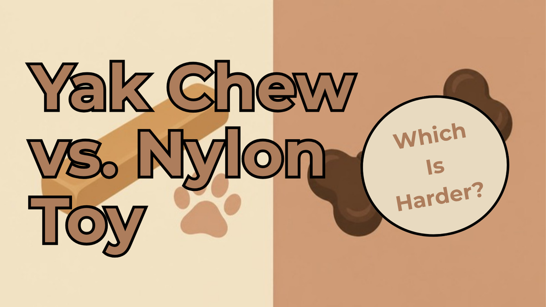 Flat icon illustration comparing a hard yak cheese chew stick with a paw print to a ribbed nylon dog bone chew toy, split composition in cream and tan