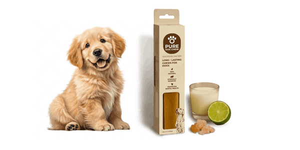 Original Dog Chew