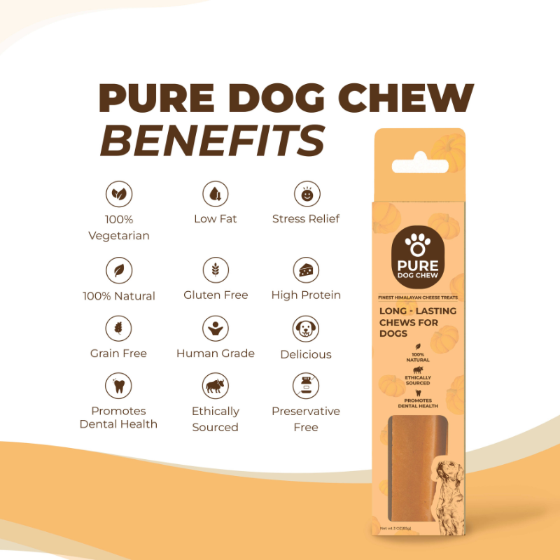 Pumpkin Himalayan Yak Cheese Dog Chew – 3 oz