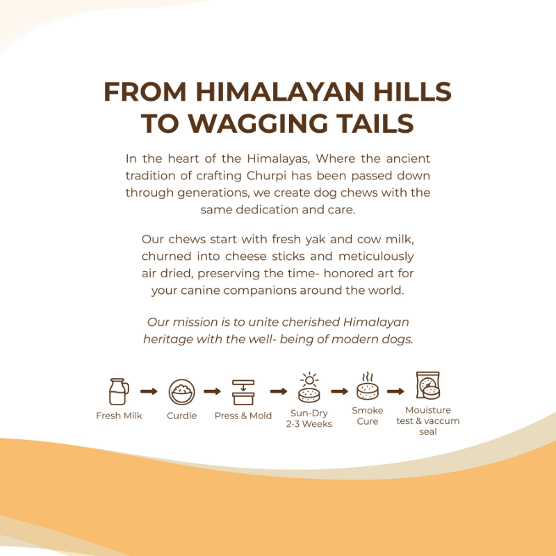 Pumpkin Yak Cheese Chew 3oz