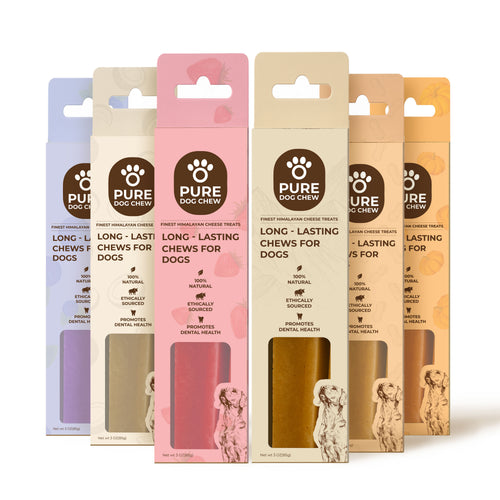 Flavored Essentials Variety Bundle