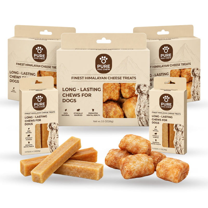 Gentle chewer yak cheese chew refill bundle package