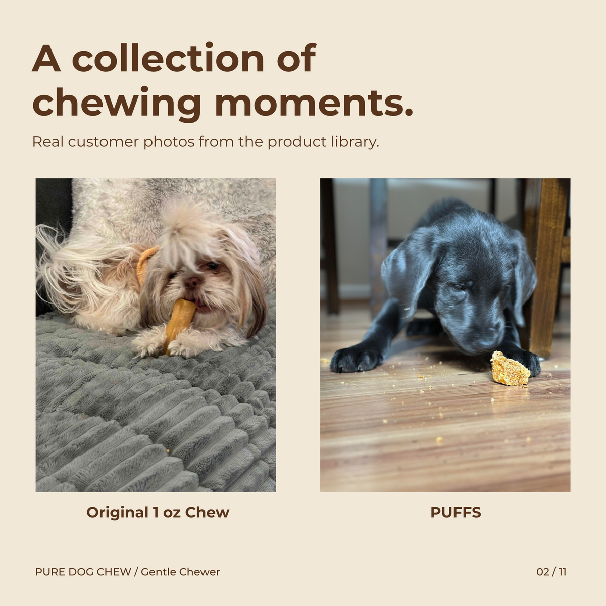 Gentle Chewers Refill Bundle
