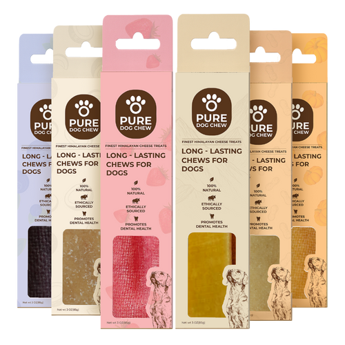 Flavored Essentials Variety Bundle