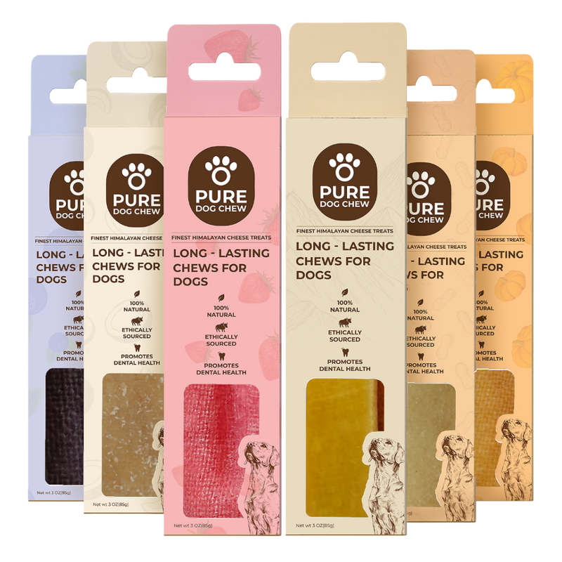 Flavored Essentials Variety Bundle