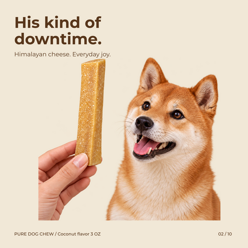 Coconut Himalayan Yak Cheese Dog Chew – 3 oz