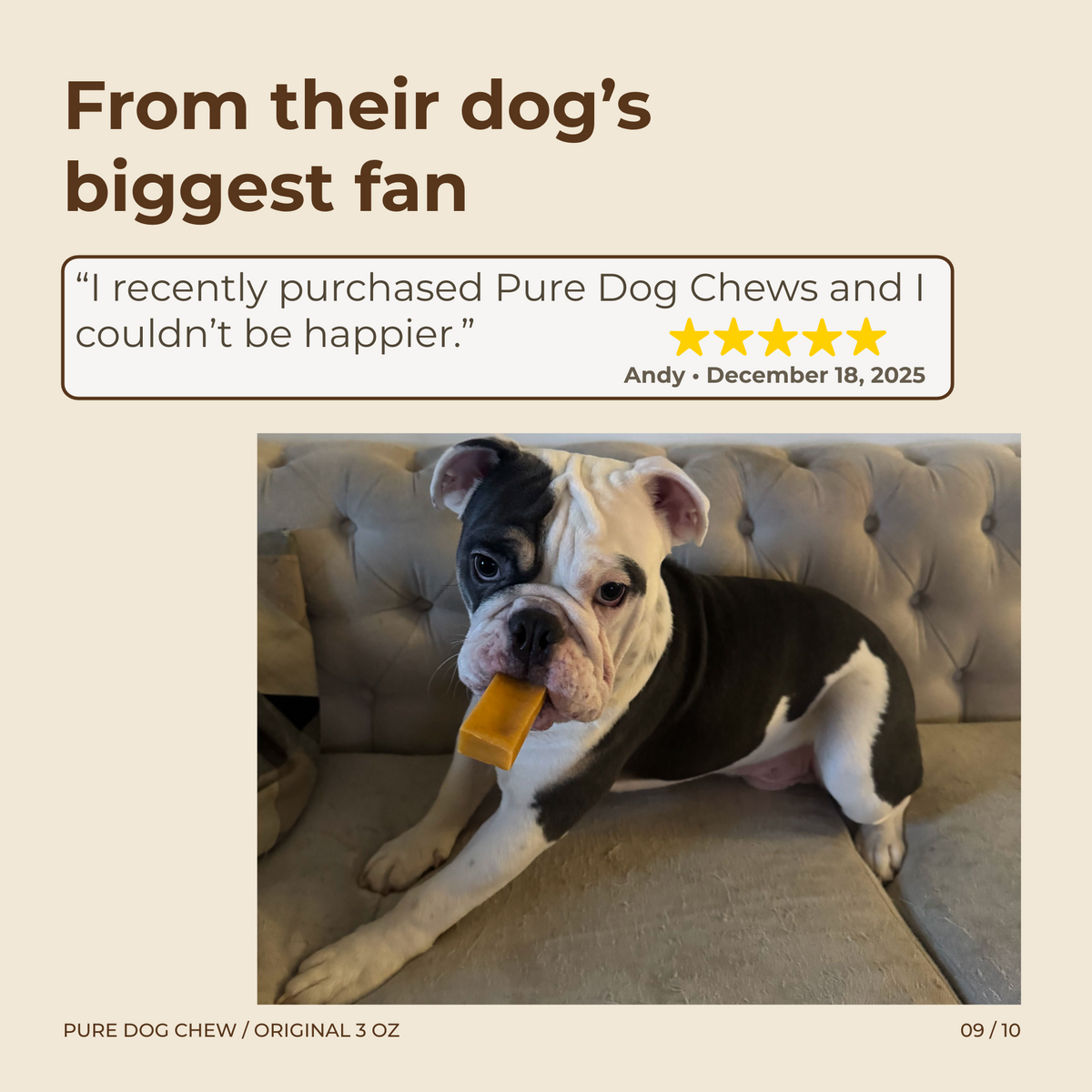 Pure Dog Chew Original Himalayan Yak Cheese Chew - 3 oz