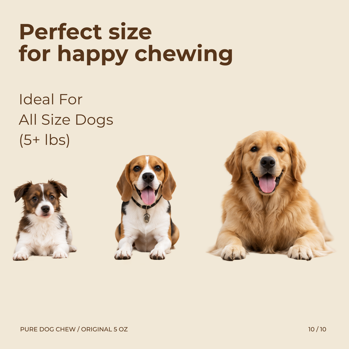 Puffed Himalayan Yak Cheese Dog Treats – 3.5 oz