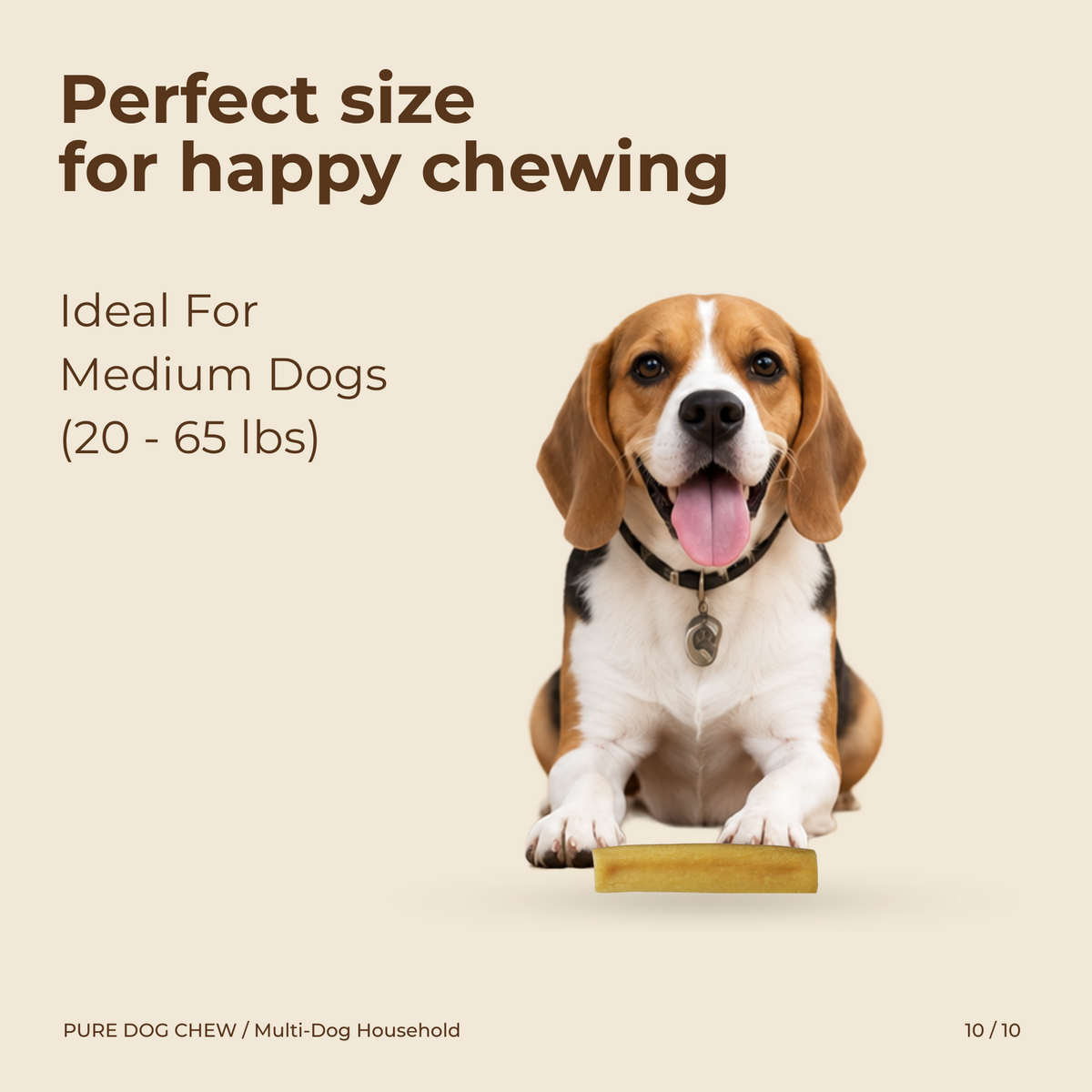 Multi-Dog Household Bundle
