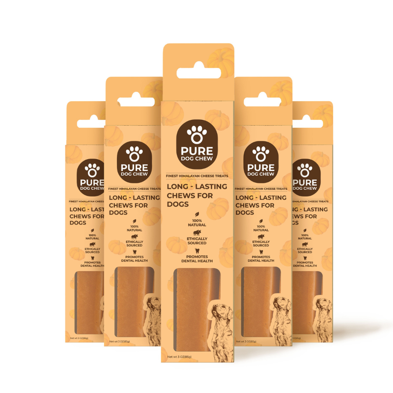 Pumpkin Yak Cheese Chew 3oz