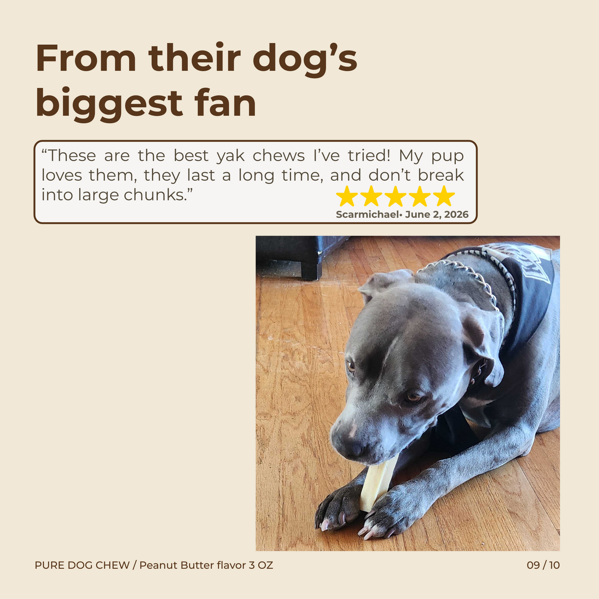 Peanut Butter Himalayan Yak Cheese Dog Chew – 3 oz