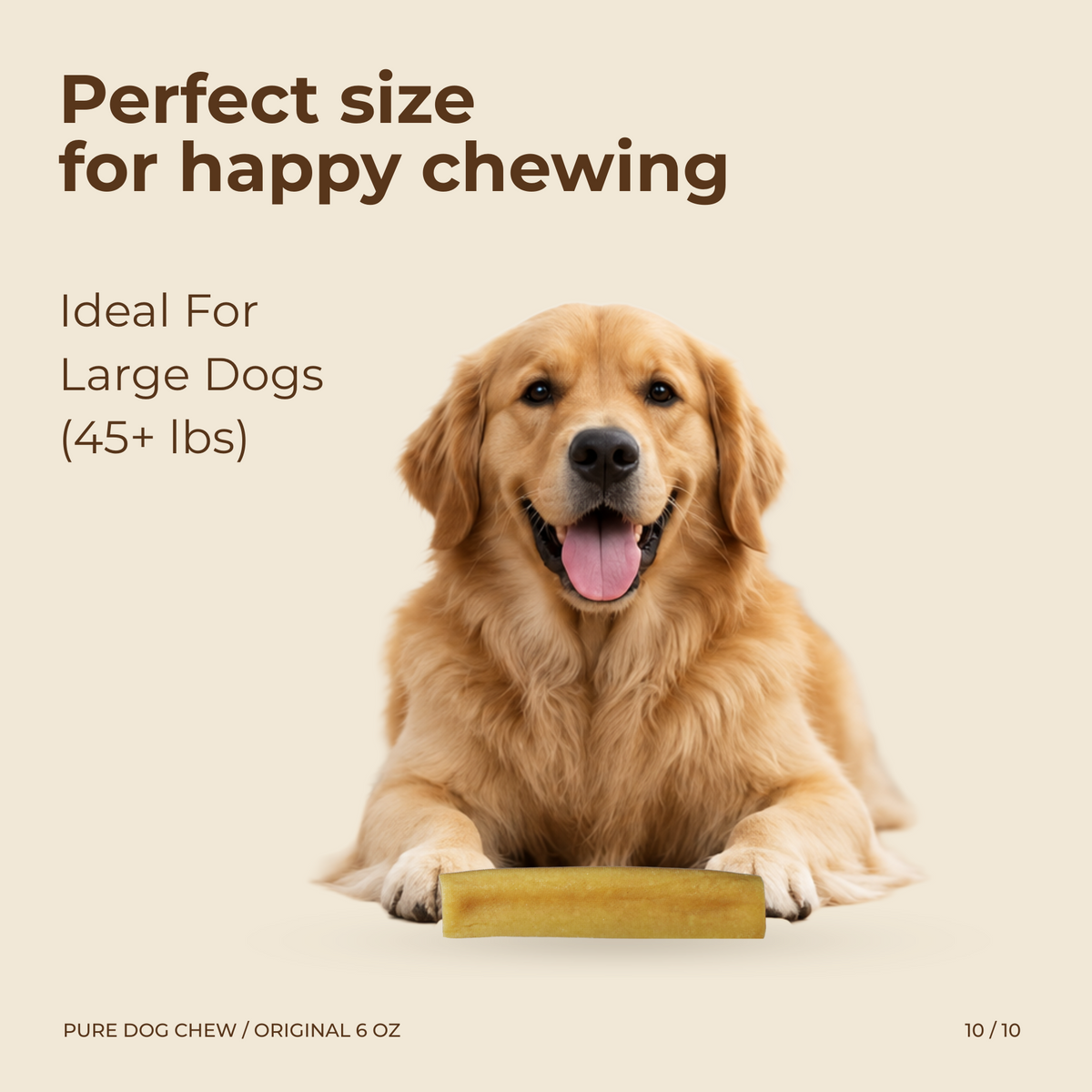 Power Chewer Stock-Up Bundle