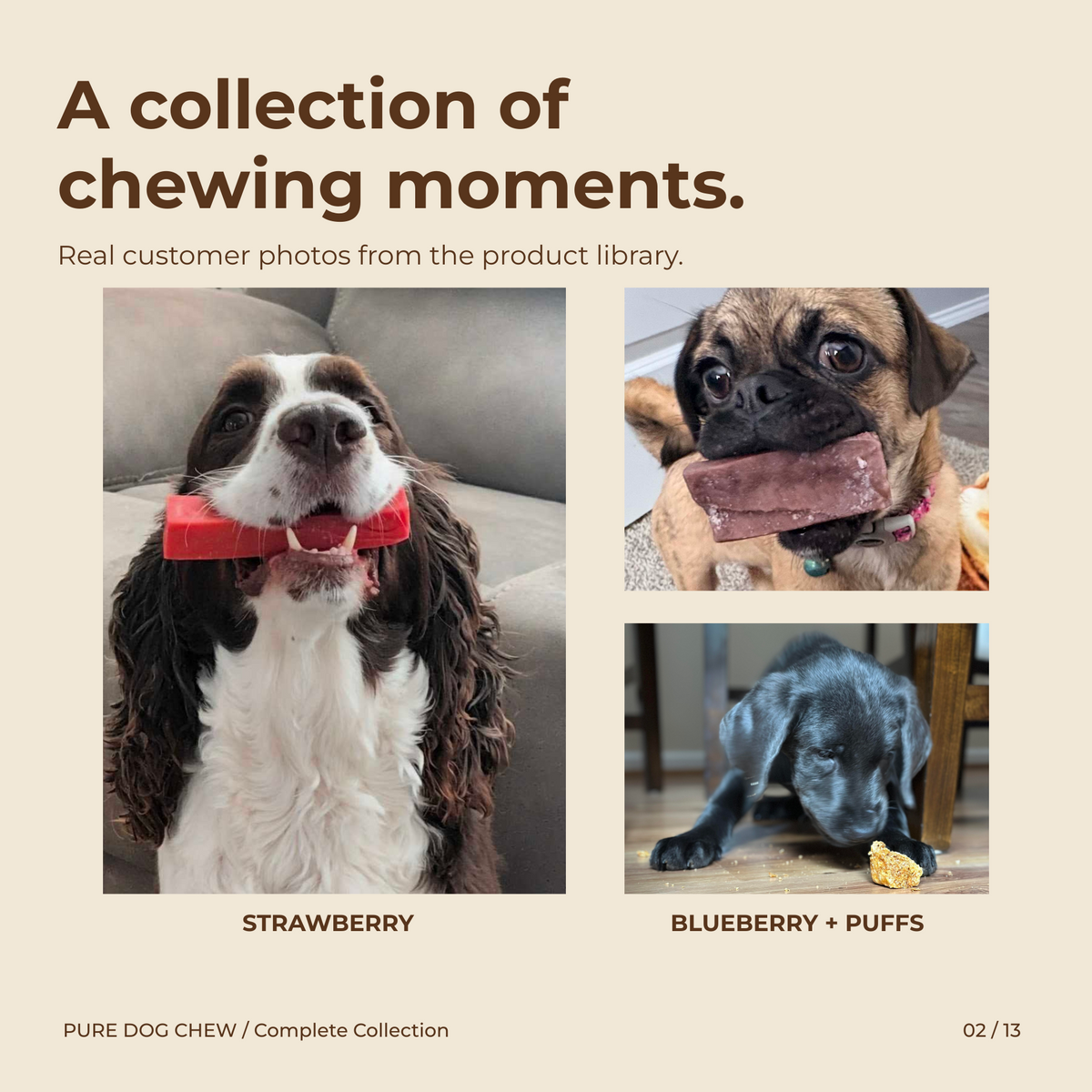 Complete Pure Dog Chew Collection
