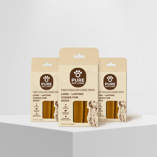 Family Pack for Multi-Dog Homes (45-65 lbs)