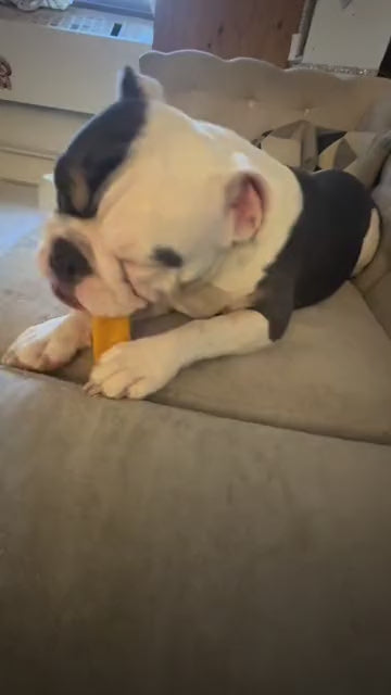 Customer video