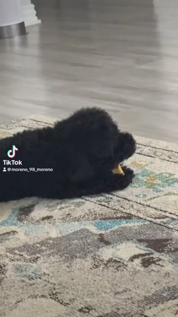 Customer video